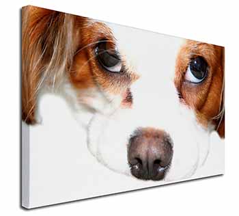 Cavalier King Charles Spaniel Canvas X-Large 30"x20" Wall Art Print