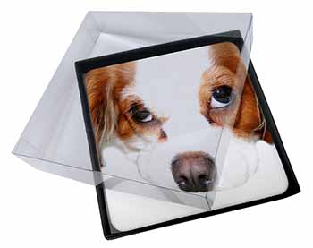 4x Cavalier King Charles Spaniel Picture Table Coasters Set in Gift Box