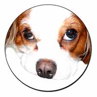 Cavalier King Charles Spaniel Fridge Magnet Printed Full Colour