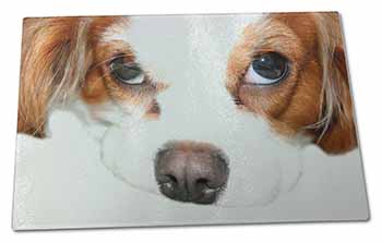 Large Glass Cutting Chopping Board Cavalier King Charles Spaniel