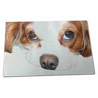 Large Glass Cutting Chopping Board Cavalier King Charles Spaniel