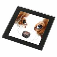 Cavalier King Charles Spaniel Black Rim High Quality Glass Coaster