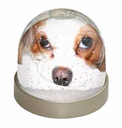 Cavalier King Charles Spaniel Snow Globe Photo Waterball