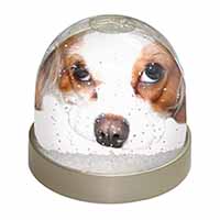 Cavalier King Charles Spaniel Snow Globe Photo Waterball