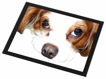 Cavalier King Charles Spaniel Black Rim High Quality Glass Placemat