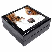 Cavalier King Charles Spaniel Keepsake/Jewellery Box