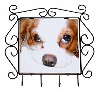 Cavalier King Charles Spaniel Wrought Iron Key Holder Hooks