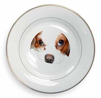 Cavalier King Charles Spaniel Gold Rim Plate Printed Full Colour in Gift Box