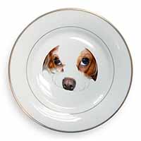 Cavalier King Charles Spaniel Gold Rim Plate Printed Full Colour in Gift Box