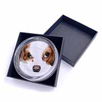 Cavalier King Charles Spaniel Glass Paperweight in Gift Box