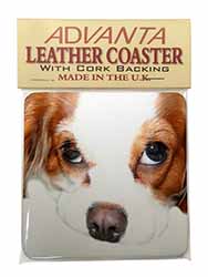 Cavalier King Charles Spaniel Single Leather Photo Coaster