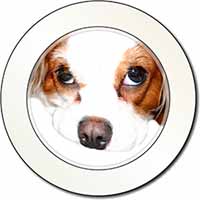 Cavalier King Charles Spaniel Car or Van Permit Holder/Tax Disc Holder