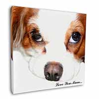 King Charles Spaniel 