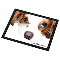 King Charles Spaniel 