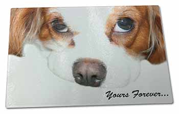 Large Glass Cutting Chopping Board Cavalier King Charles 