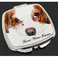 Cavalier King Charles 