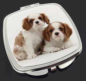 Blenheim King Charles Spaniels Make-Up Compact Mirror