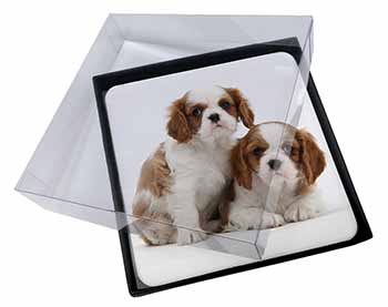 4x Blenheim King Charles Spaniels Picture Table Coasters Set in Gift Box