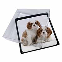 4x Blenheim King Charles Spaniels Picture Table Coasters Set in Gift Box