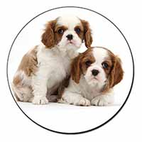 Blenheim King Charles Spaniels Fridge Magnet Printed Full Colour