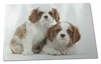 Large Glass Cutting Chopping Board Blenheim King Charles Spaniels