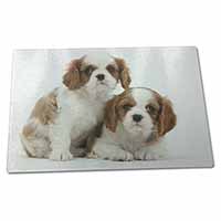 Large Glass Cutting Chopping Board Blenheim King Charles Spaniels