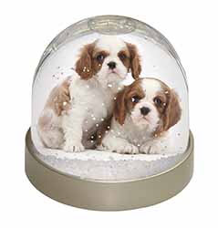 Blenheim King Charles Spaniels Snow Globe Photo Waterball