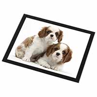 Blenheim King Charles Spaniels Black Rim High Quality Glass Placemat