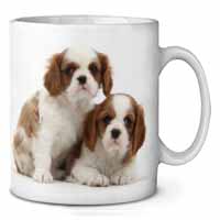 Blenheim King Charles Spaniels Ceramic 10oz Coffee Mug/Tea Cup