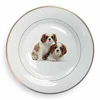 Blenheim King Charles Spaniels Gold Rim Plate Printed Full Colour in Gift Box