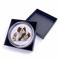 Blenheim King Charles Spaniels Glass Paperweight in Gift Box