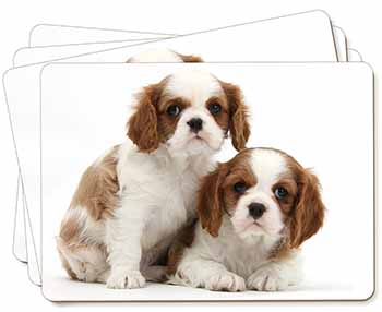 Blenheim King Charles Spaniels Picture Placemats in Gift Box