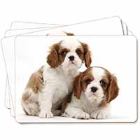 Blenheim King Charles Spaniels Picture Placemats in Gift Box