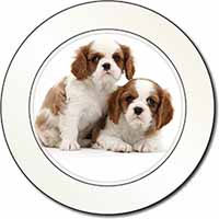 Blenheim King Charles Spaniels Car or Van Permit Holder/Tax Disc Holder