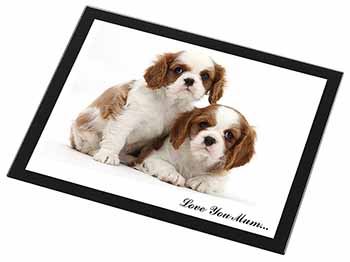 King Charles Pups 