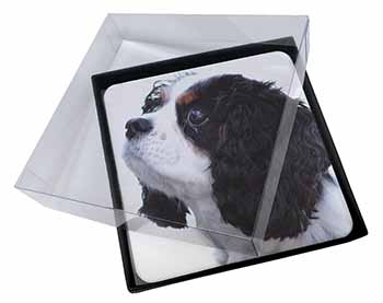 4x Tri-Colour King Charles Spaniel Dog Picture Table Coasters Set in Gift Box