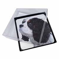 4x Tri-Colour King Charles Spaniel Dog Picture Table Coasters Set in Gift Box