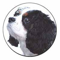 Tri-Colour King Charles Spaniel Dog Fridge Magnet Printed Full Colour