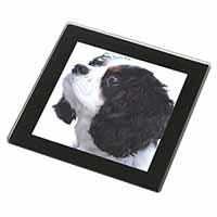 Tri-Colour King Charles Spaniel Dog Black Rim High Quality Glass Coaster