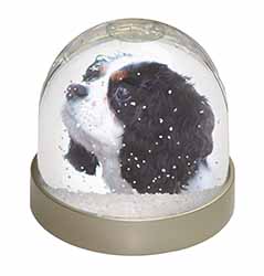 Tri-Colour King Charles Spaniel Dog Snow Globe Photo Waterball