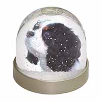Tri-Colour King Charles Spaniel Dog Snow Globe Photo Waterball