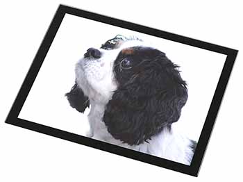 Tri-Colour King Charles Spaniel Dog Black Rim High Quality Glass Placemat
