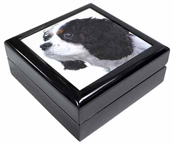 Tri-Colour King Charles Spaniel Dog Keepsake/Jewellery Box