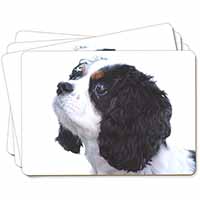 Tri-Colour King Charles Spaniel Dog Picture Placemats in Gift Box