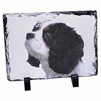 Tri-Colour King Charles Spaniel Dog, Stunning Photo Slate