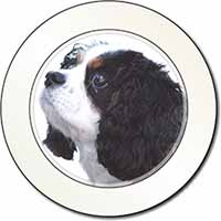 Tri-Colour King Charles Spaniel Dog Car or Van Permit Holder/Tax Disc Holder