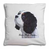 Tri King Charles Spaniel 