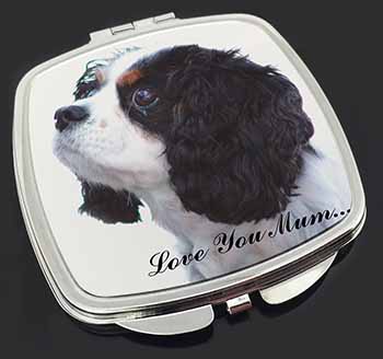 Tri King Charles Spaniel 