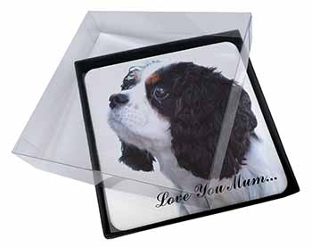 4x Tri King Charles Spaniel 