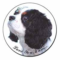 Tri King Charles Spaniel 